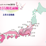 sakura_front_600x450