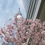 skytree_01