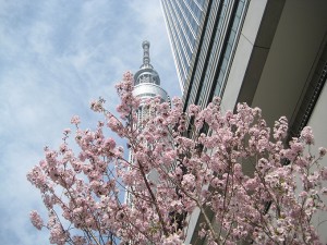 skytree_01