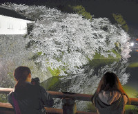 山形市 霞城公園