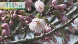 北海道松前町 松前公園