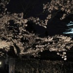 長野県松本市 松本城