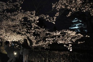 長野県松本市 松本城