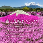 富士芝桜まつり