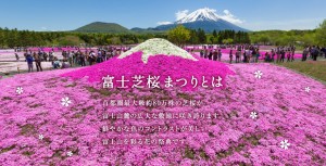富士芝桜まつり